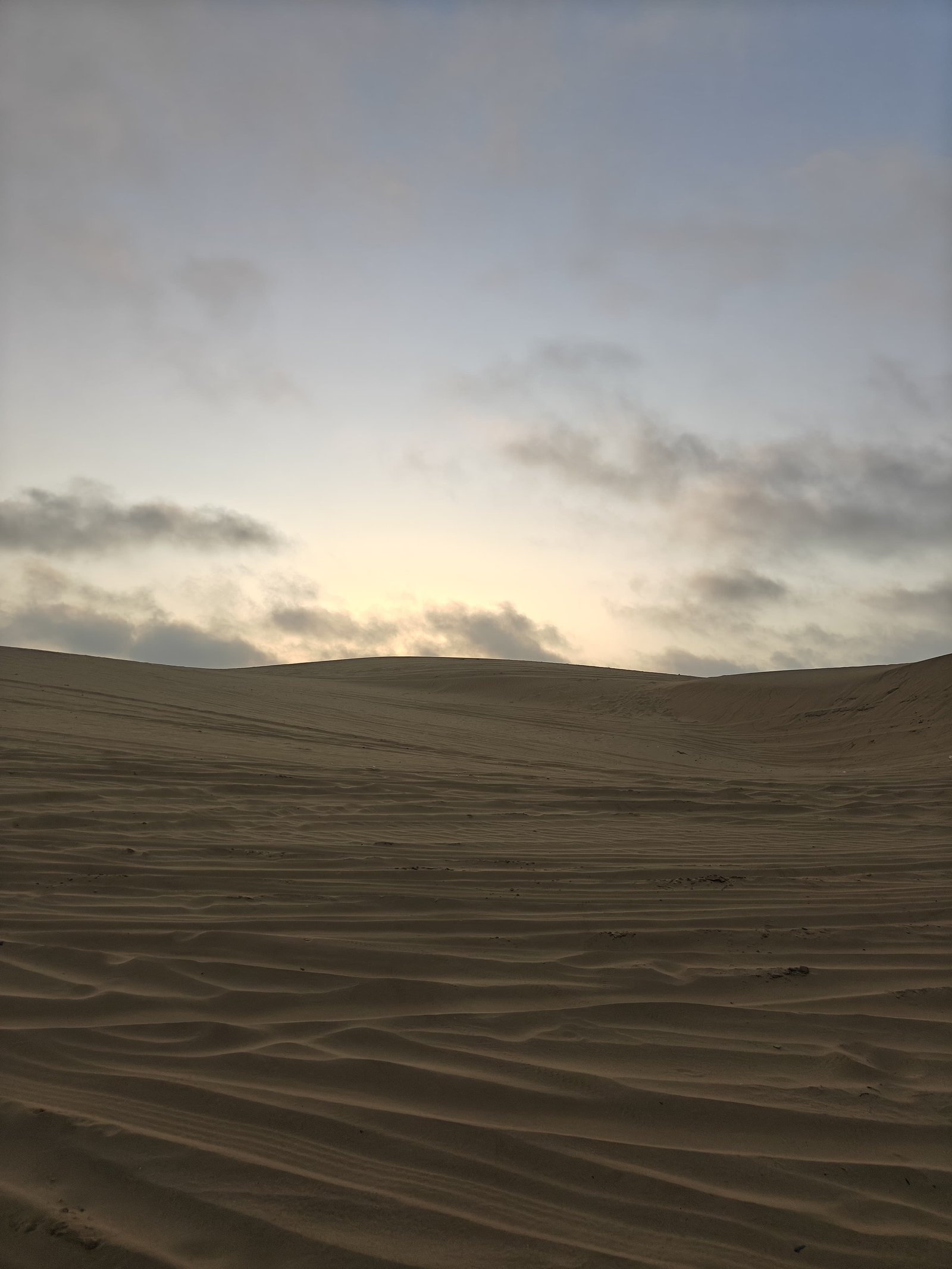 Camel safari experience near Royal Sun Desert Camp